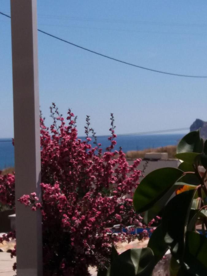Casa fleur Altea con Piscina privada y Jardin Lejlighed Eksteriør billede